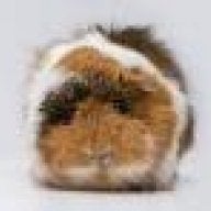 Nonapod